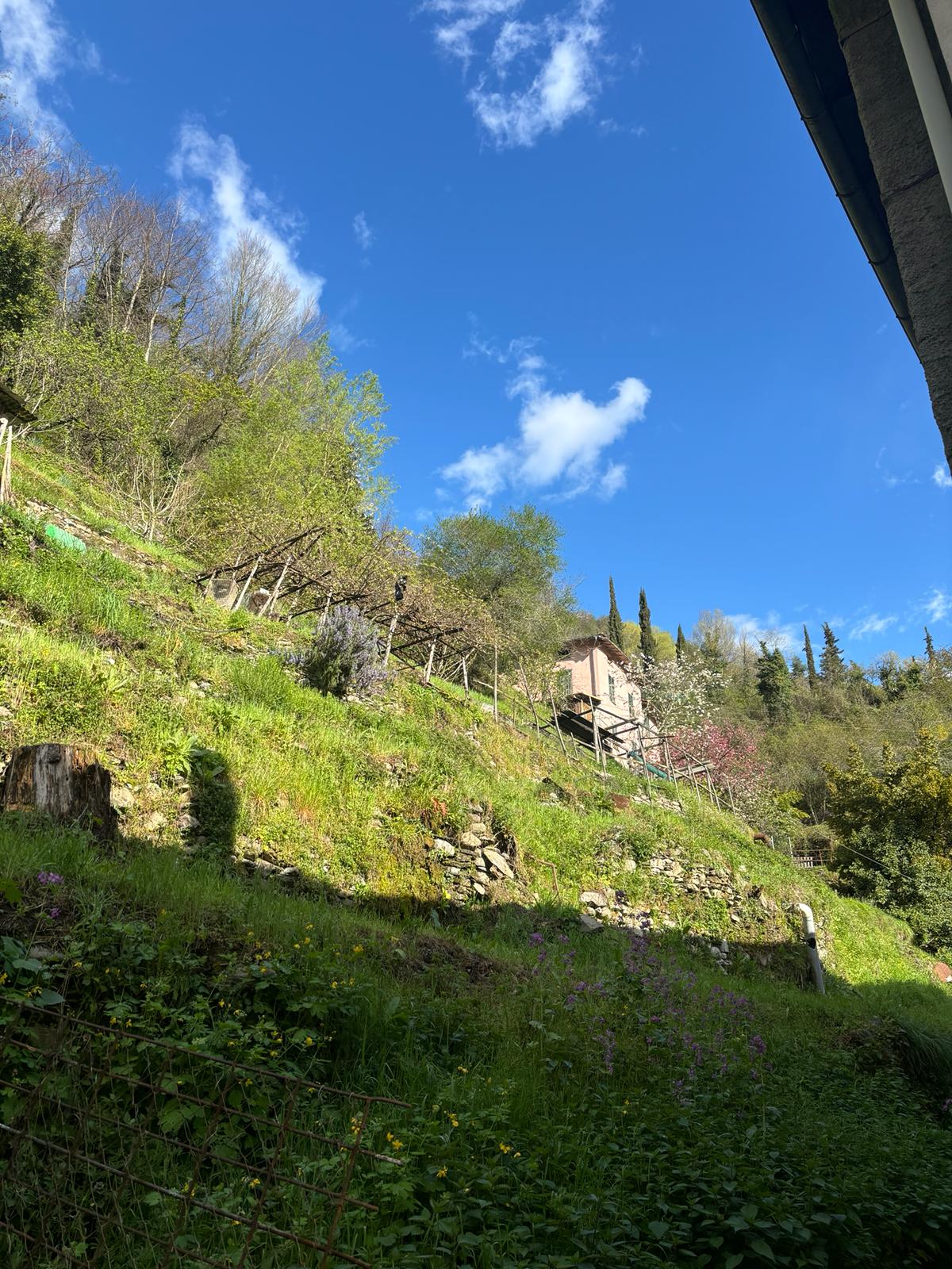 Integrazione e immigrazione